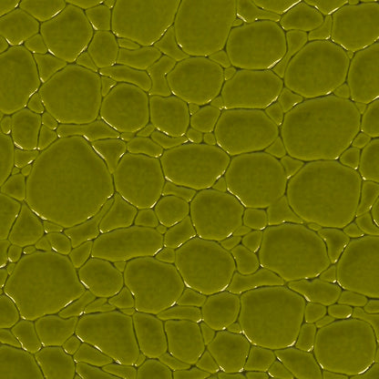 Faux Crocodile Patent Leather - Avocado - Brisbane Collection Detail