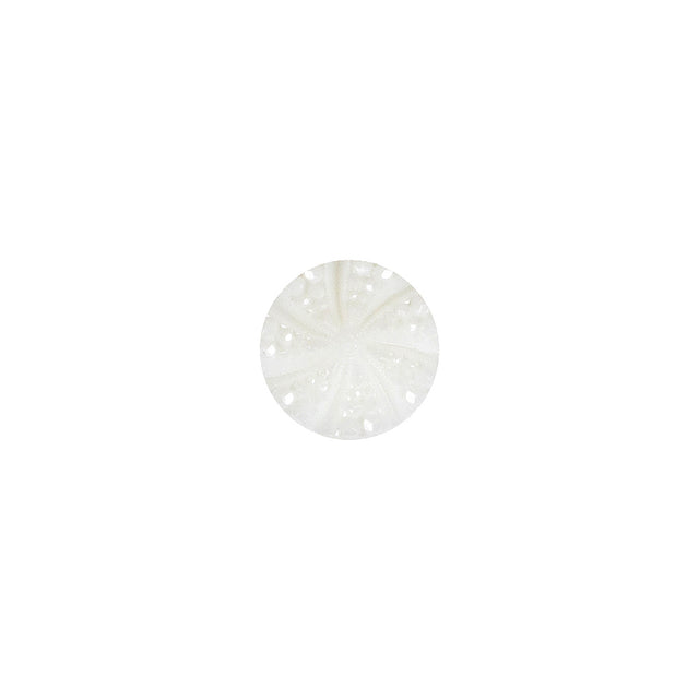 White Bevel Cut Shank Back Plastic Button - 16L/10mm