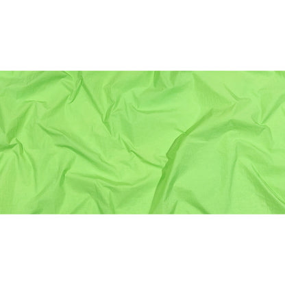 Balenciaga Italian Lime Crinkled Nylon Full
