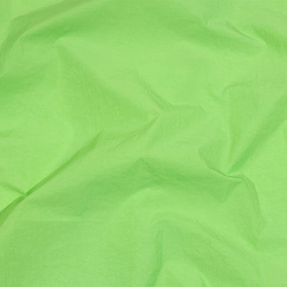 Balenciaga Italian Lime Crinkled Nylon