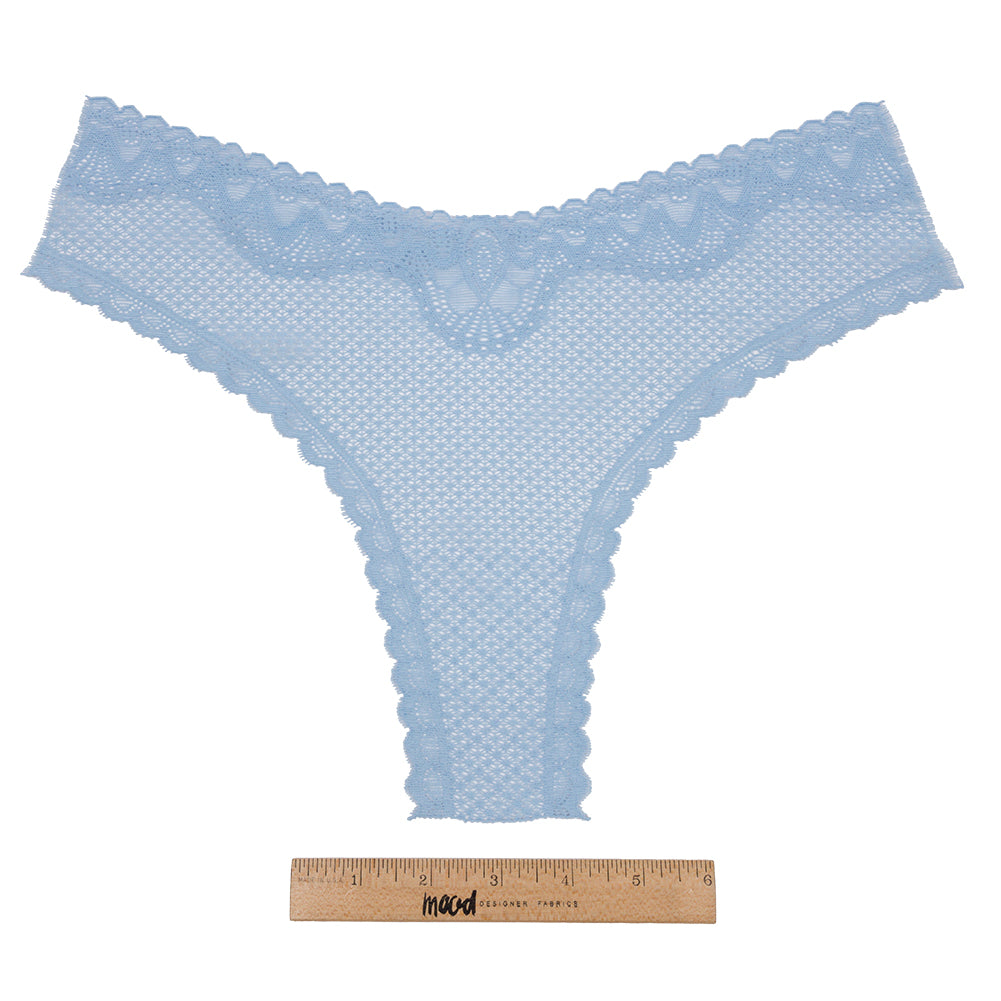 Sky Blue Stretch Lace Panty Trim Panel - 10.25" x 14.25" Full