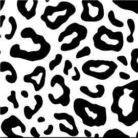 A black and white leopard print pattern with a square frame