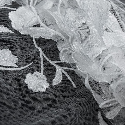 A close up of a white flower on a black background