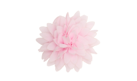A pink flower that is on a white surface