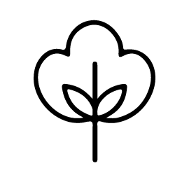 A black and white image of a cotton plant with leaves