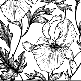 A black and white drawing of flowers on a white background