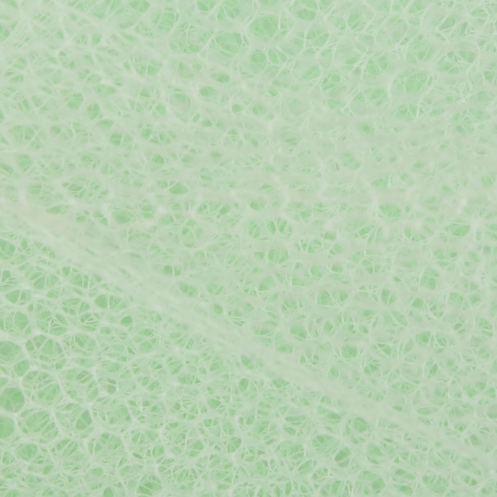 Nylon Net Tulle - Lime - Gianna Collection Detail