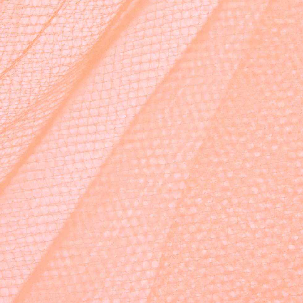 Nylon Net Tulle - Shrimp - Gianna Collection Detail