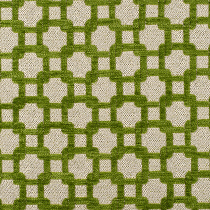 Apple Green/Metallic Cream Net Chenille with Metallic Base