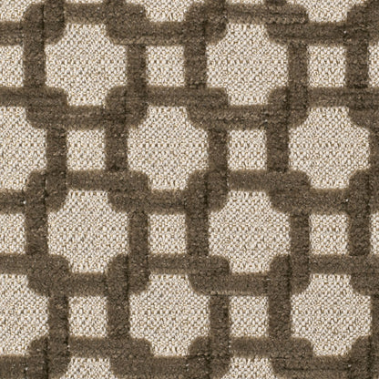 Stone/Metallic Cream Net Chenille with Metallic Base Detail