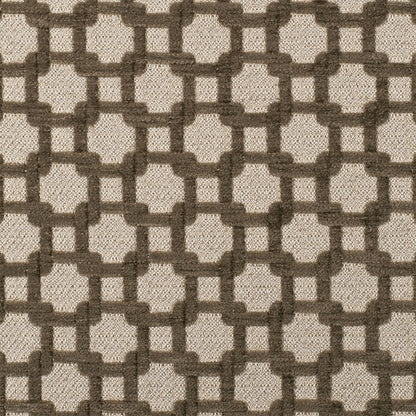 Stone/Metallic Cream Net Chenille with Metallic Base