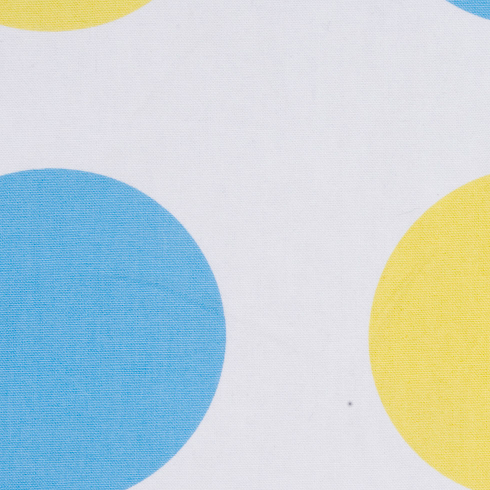 Off-White/Maize/Sky Blue Polka Dots Canvas Detail