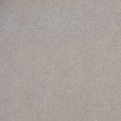Beige Solid Velvet Detail