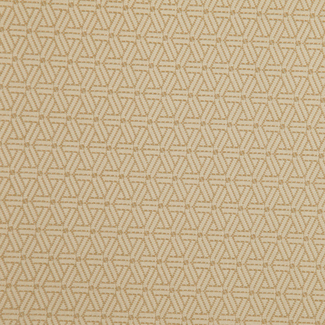 Tan/Beige Geometric Woven