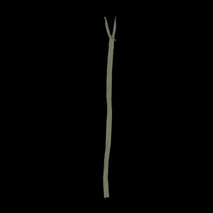 Invisible Zipper 24" by YKK - 170 Iguana Detail