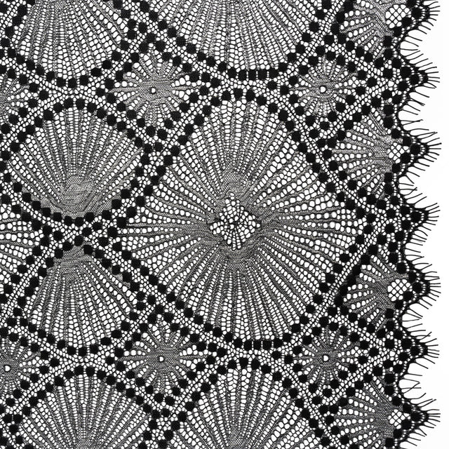Metallic Raschel Lace Panel with Finished Edges - Black and Silver Sun Ray Ogees