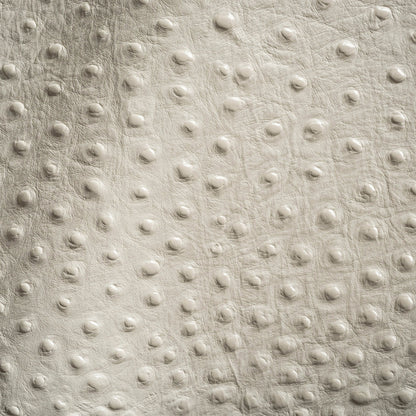 Shirley Italian Ivory Ostrich Embossed Semi-Aniline Top Grain Cow Leather Hide