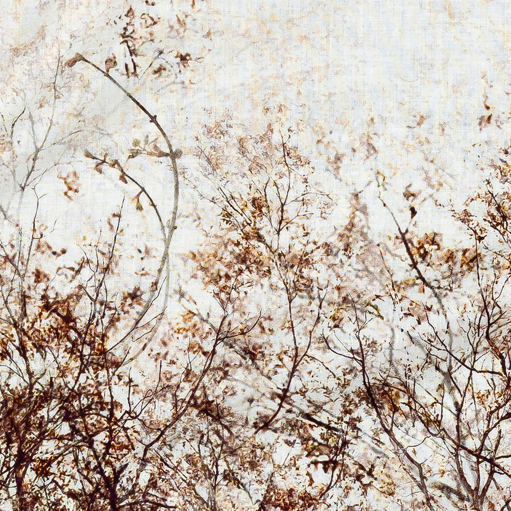 Mood Exclusive Celestial Canopy White Cotton Voile - Detail