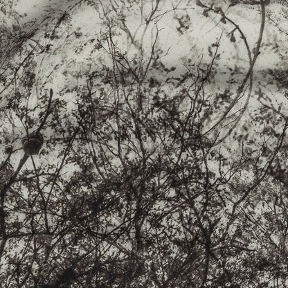 Rayon Challis Panel - Black and White Tree Branches - Old House Woods Print - Mood Exclusive Twilight Collection Detail