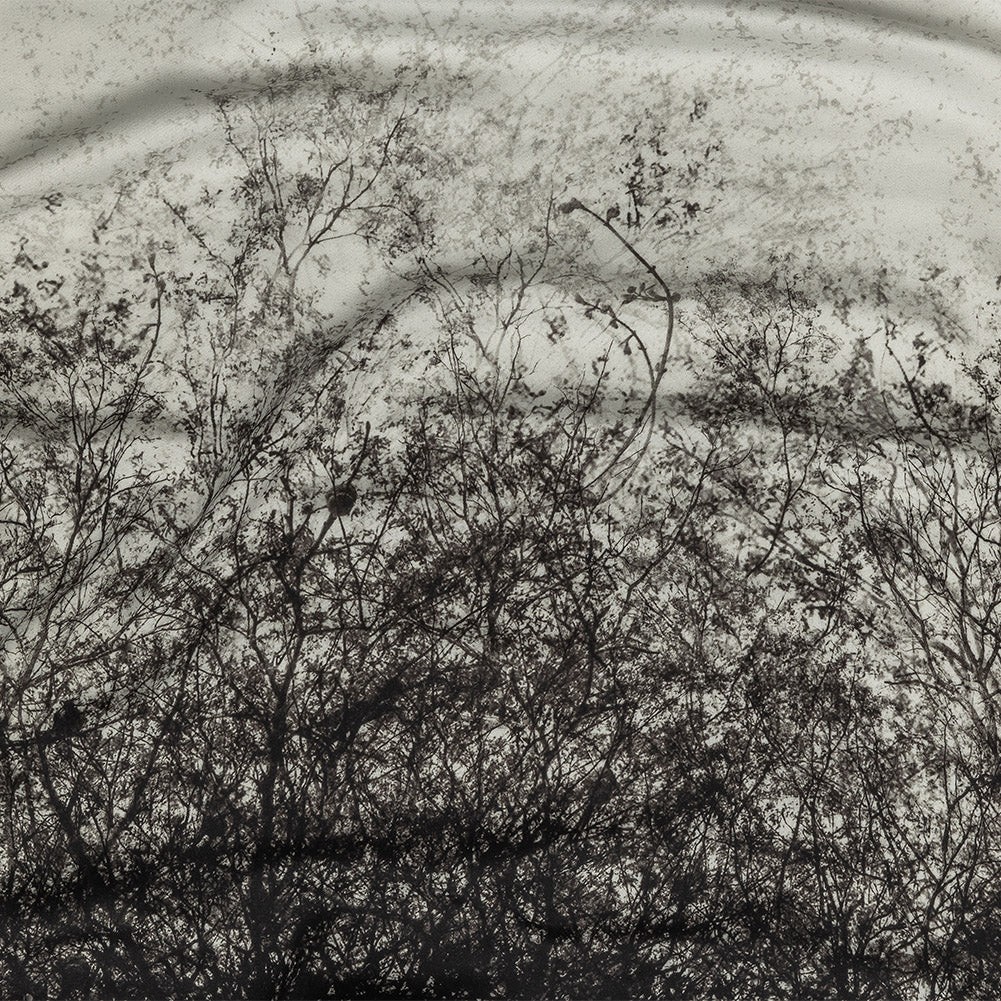 Rayon Challis Panel - Black and White Tree Branches - Old House Woods Print - Mood Exclusive Twilight Collection