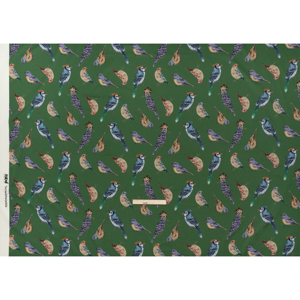Stretch Cotton Sateen - Green, Blue and Beige Little Birds - Birdsong Saunter Print - Mood Exclusive Acadia Collection - Full