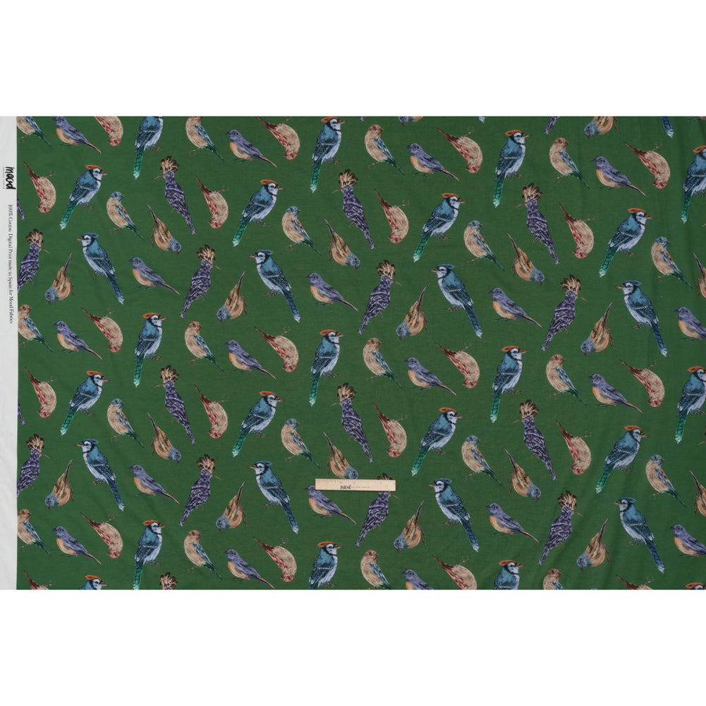 Cotton Voile - Green, Blue and Beige Little Birds - Birdsong Saunter Print - Mood Exclusive Acadia Collection - Full
