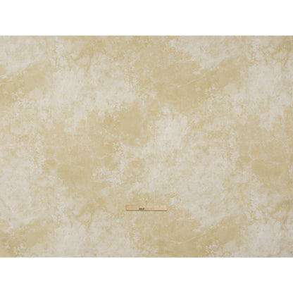 Stonehenge Quilting Cotton by Northcott - Almond Abstract Texture - Basics Collection