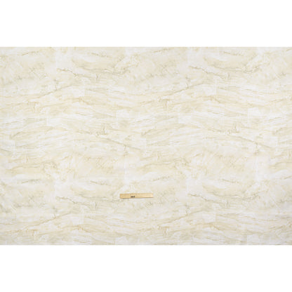 Stonehenge Wide Backing Quilting Cotton by Northcott - Cream Marble 10 Abstract Stone, 108" Width - Surfaces Wide Backing Collection