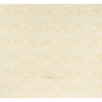 Printed Quilting Cotton by Deborah Edwards Northcott Studio - Ivory Fresco Texture - Toscana Collection