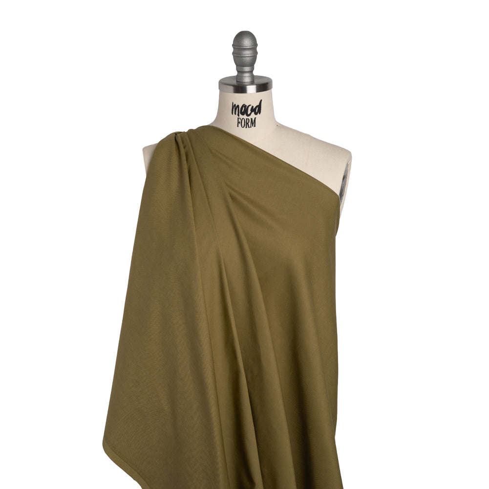 Premium Solid Quilting Cotton by Northcott - Nutmeg - Colorworks Collection - Drape