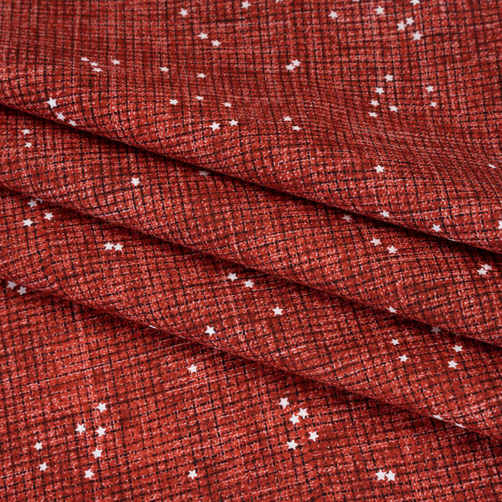 Printed Quilting Cotton by Ghazal Razavi for FIGO Studio - Red Checks and Stars - Stash Collection - Detail