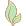 Organic