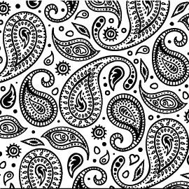 A black and white paisley pattern with white outline