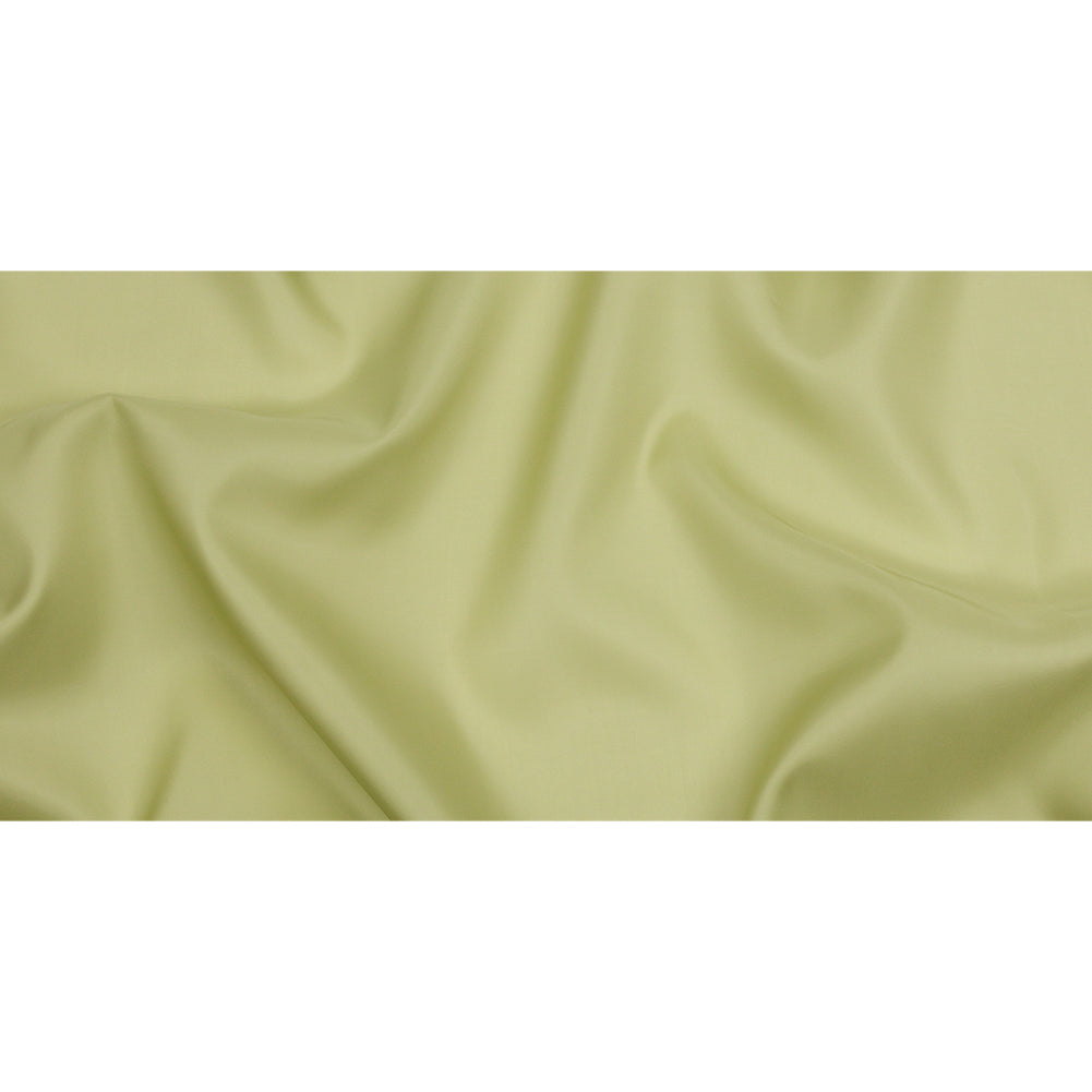 Silk Satin-Face Organza 54" - Nile Green - Premium Collection - Full