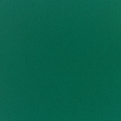 Standard Upholstery Canvas by Sunbrella - Forest Green