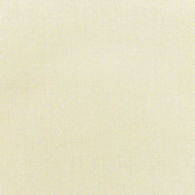 Standard Upholstery Canvas by Sunbrella - Birds Eye