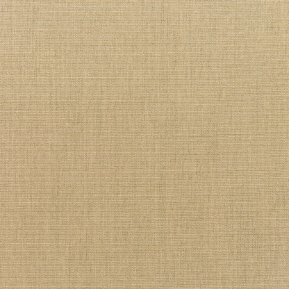Standard Upholstery Canvas by Sunbrella - Heather Beige