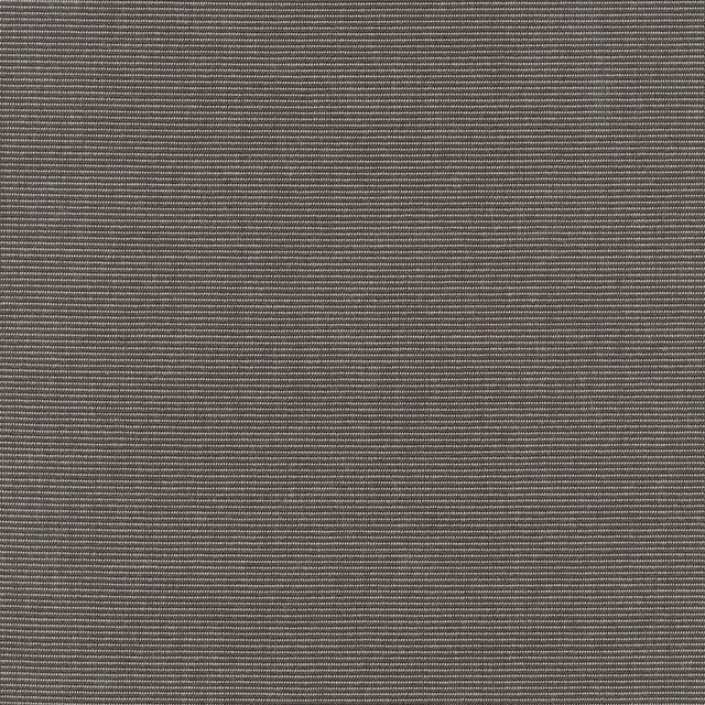 Standard Upholstery Canvas by Sunbrella - Coal