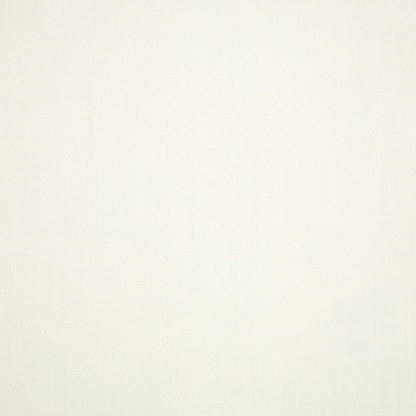 Standard Upholstery Canvas by Sunbrella - White