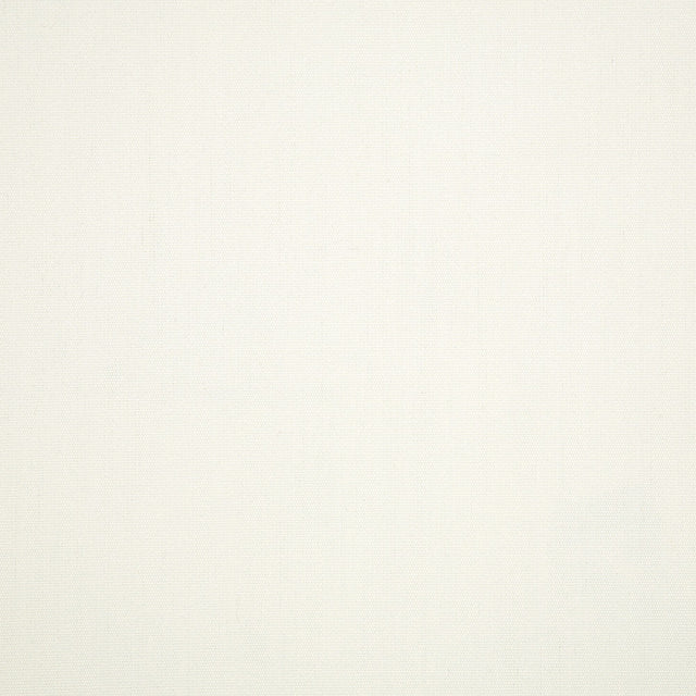 Standard Upholstery Canvas by Sunbrella - White