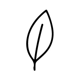 A black and white drawing of a leaf with a thin line