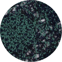 A close up of a green and black crocheted scarf