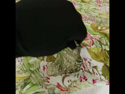 Cotton and Viscose Striped Seersucker Print - White, Green and Pink Tropical Leaves and Flowers - Mood Exclusive Monstera Mambo - Image 6 of 6