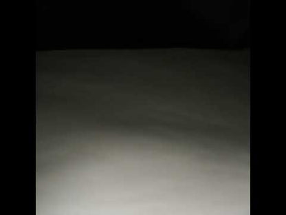 Stretch Cotton Sateen - Black - Mood Exclusive Carlos Collection