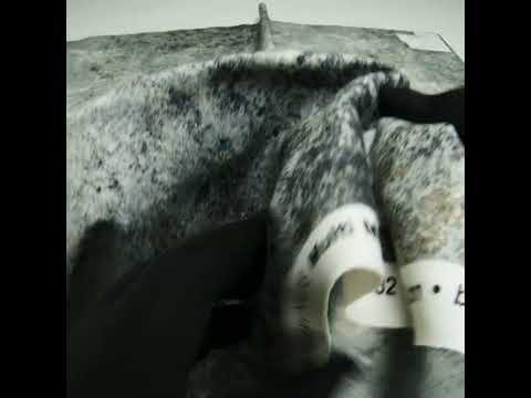 Stonehenge Quilting Cotton by Northcott - Mountain Mist Textural Abstract - Multi Mixers Collection - Image 6 of 6