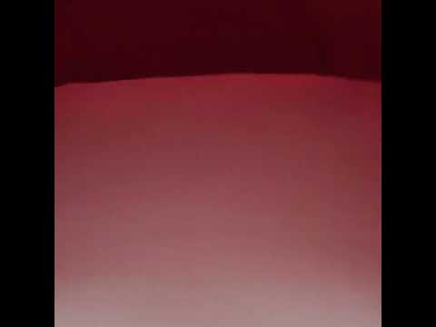 Polyester Taffeta - Plain Dyed Tango Red - Bellamy Collection - Image 5 of 5