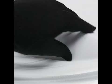 White High Compression PowerNet Mesh - Image 6 of 6