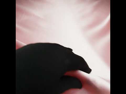 Polyester Satin - Premier Rose - Reverie Collection - Image 6 of 6