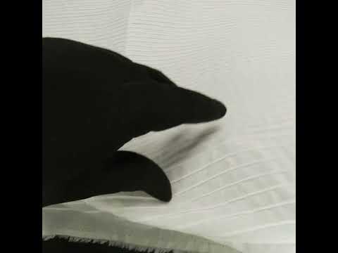 Famous Australian Designer White Pintucked Cotton Lawn - Image 6 of 6