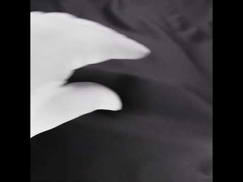 Charcoal Cotton Twill - Image 5 of 5